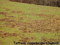 terreno ruspato